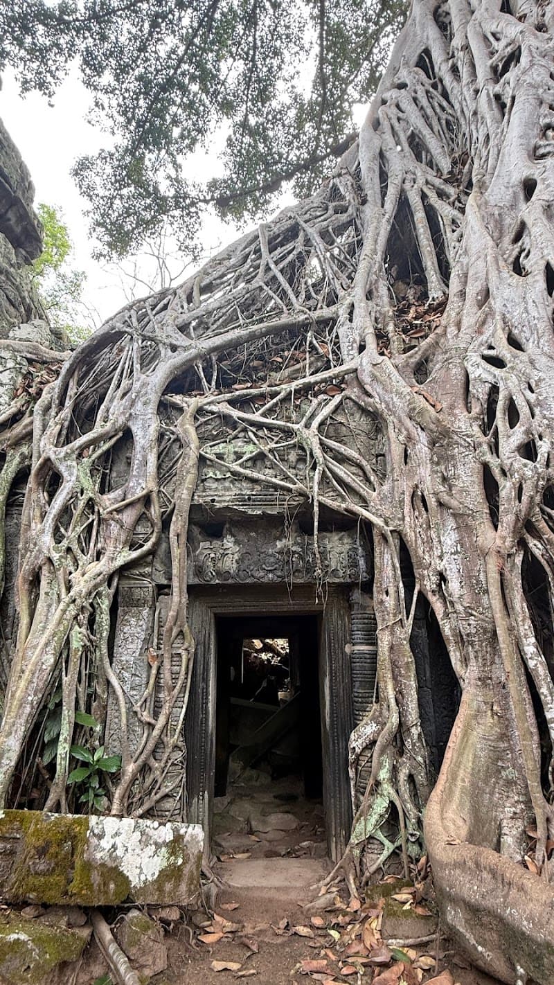 Discova - Siem Reap